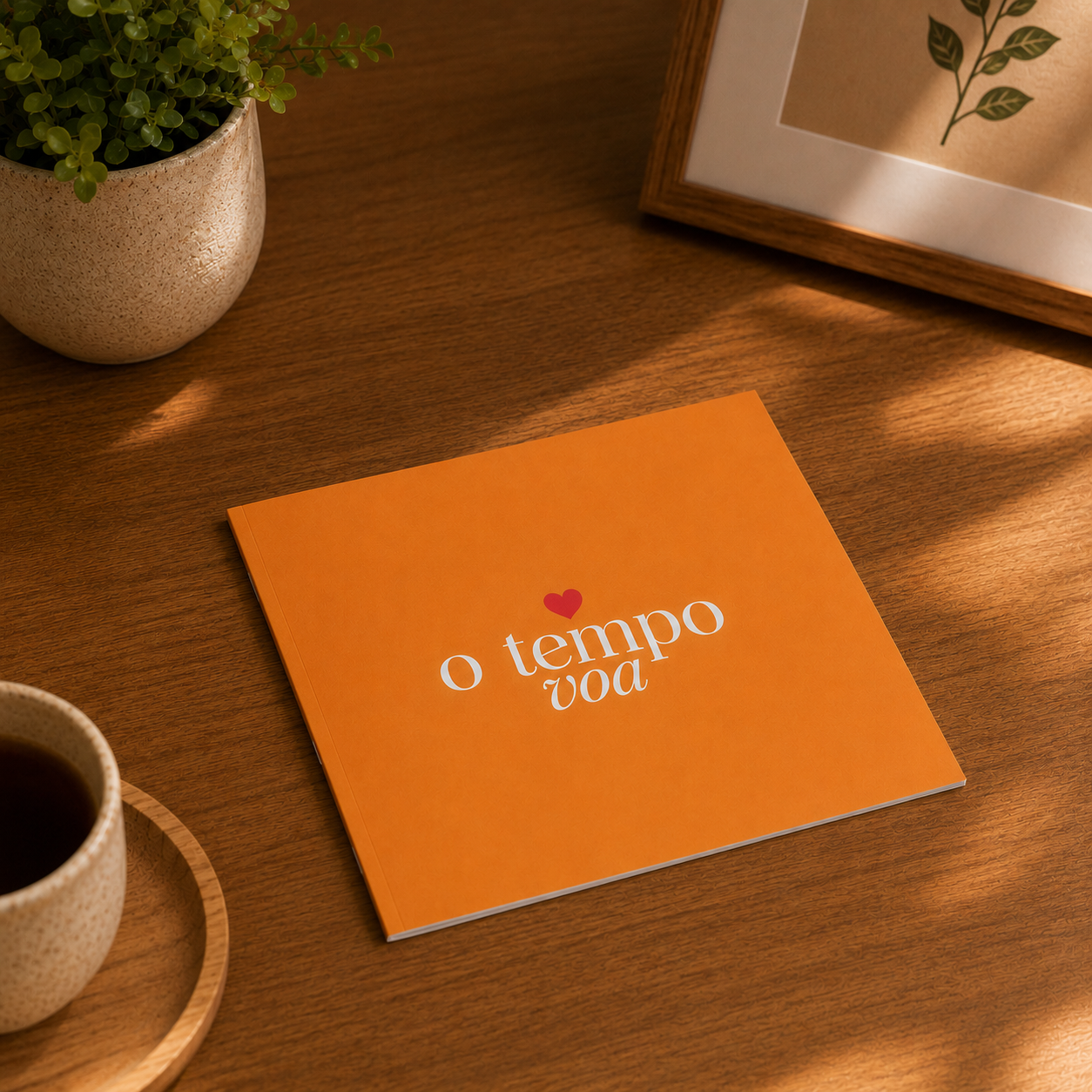 O Tempo Voa — foto 7